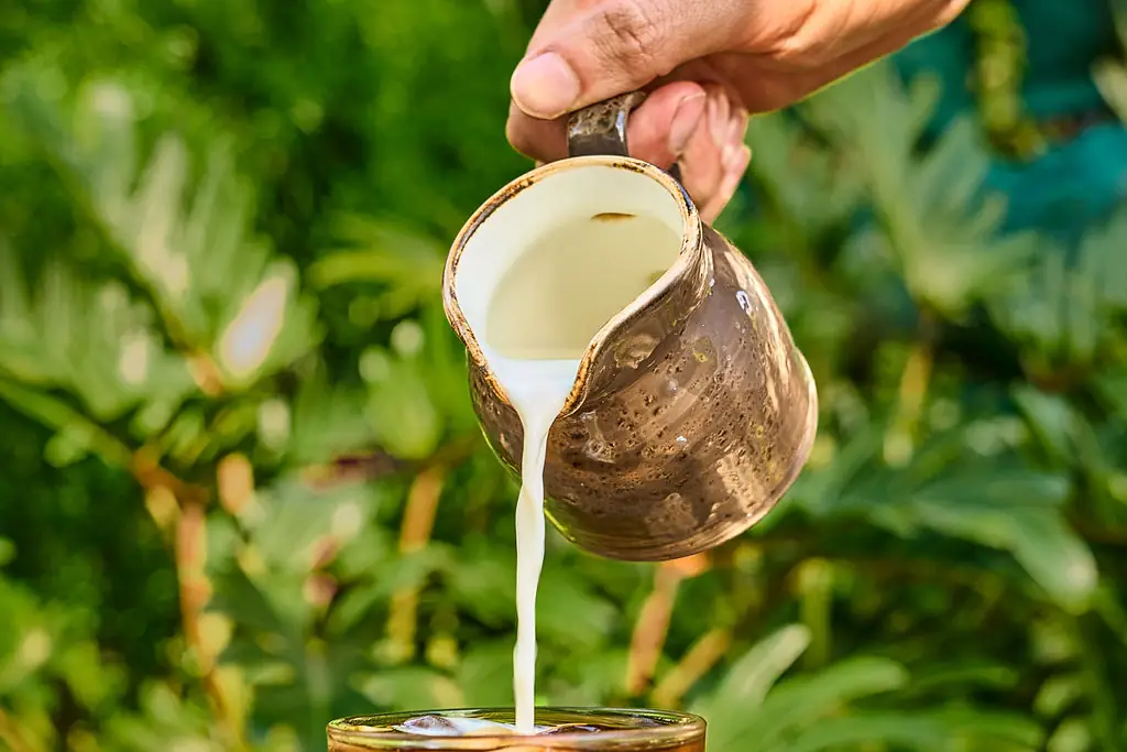 Leche que cae desde una jarra de metal sobre un vaso de café frío, con plantas de fondo