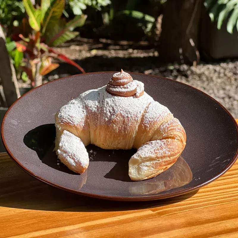 Medialuna rellena de dulce de leche espolvoreada con azúcar, sobre un plato oscuro con plantas al fondo